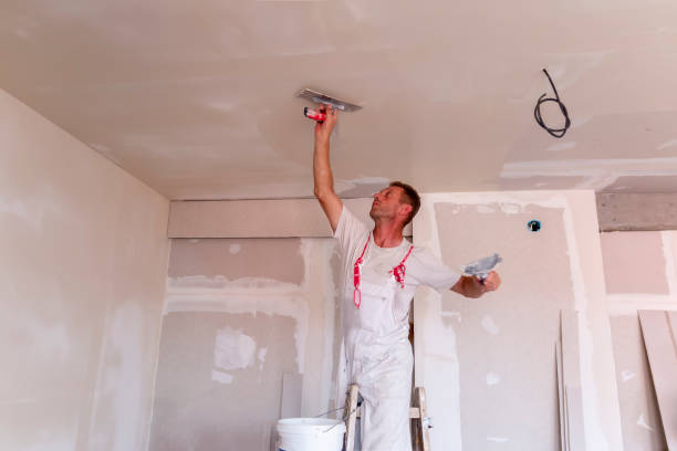 Best Wallpaper Removal and Painting  in Epworth, IA